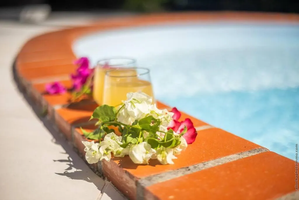 Villa Tropical Dream - Diamant Le Diamant Martinique